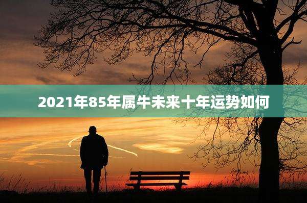 2021年85年属牛未来十年运势如何