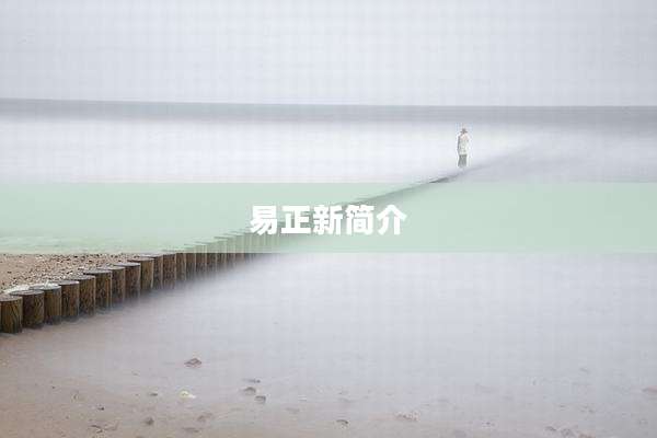 易正新简介
