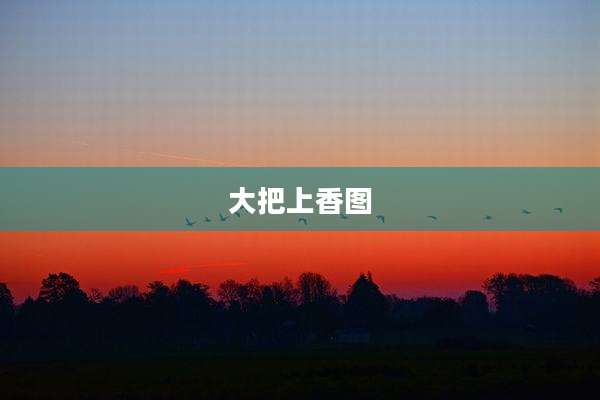 大把上香图