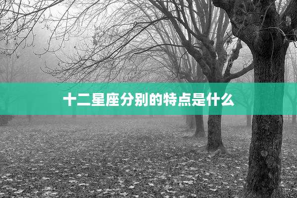 十二星座分别的特点是什么
