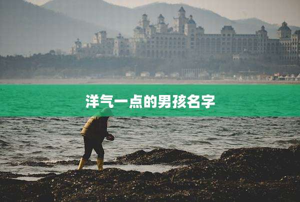 洋气一点的男孩名字