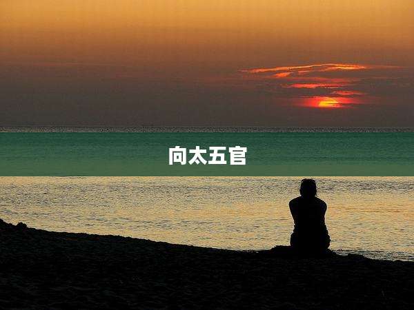 向太五官