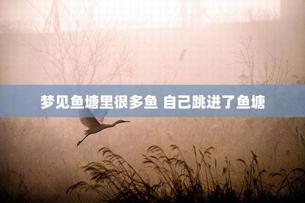 梦见鱼塘里很多鱼 自己跳进了鱼塘
