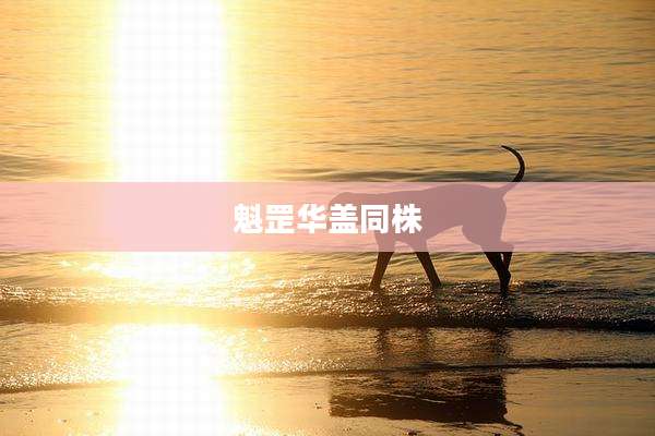 魁罡华盖同株