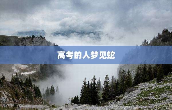 高考的人梦见蛇