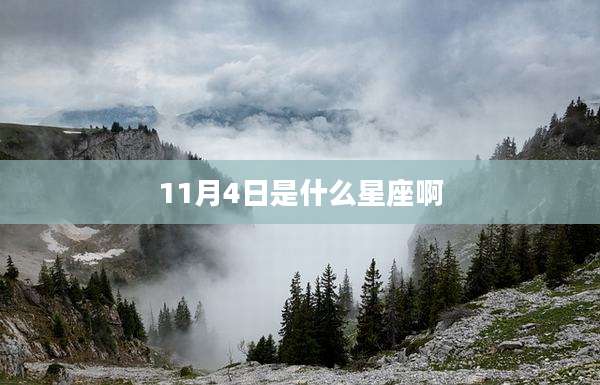 11月4日是什么星座啊