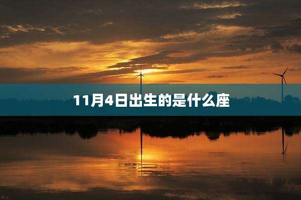 11月4日出生的是什么座