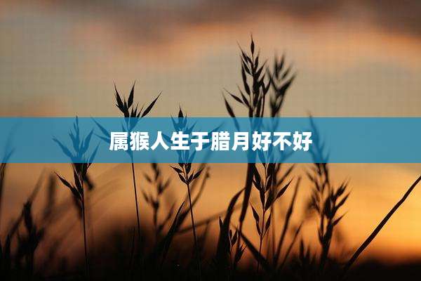属猴人生于腊月好不好