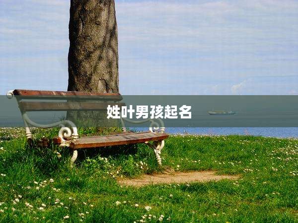 姓叶男孩起名