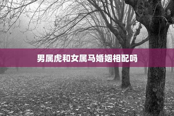 男属虎和女属马婚姻相配吗