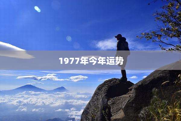 1977年今年运势