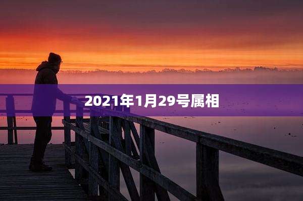 2021年1月29号属相