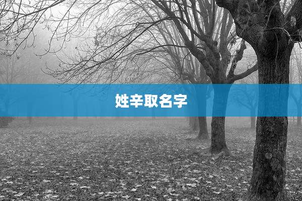 姓辛取名字