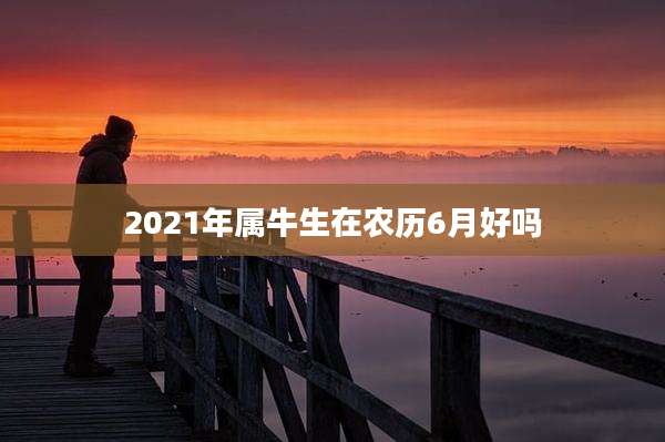 2021年属牛生在农历6月好吗