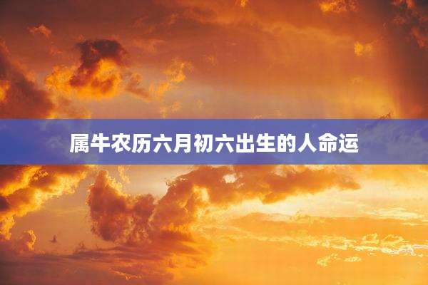 属牛农历六月初六出生的人命运