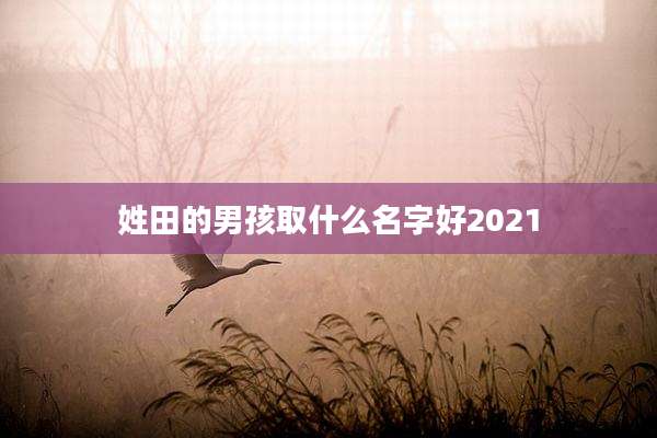 姓田的男孩取什么名字好2021