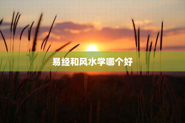 易经和风水学哪个好