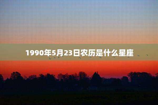 1990年5月23日农历是什么星座
