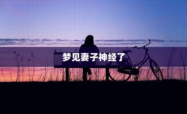 梦见妻子神经了
