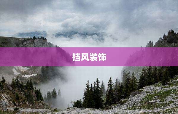 挡风装饰