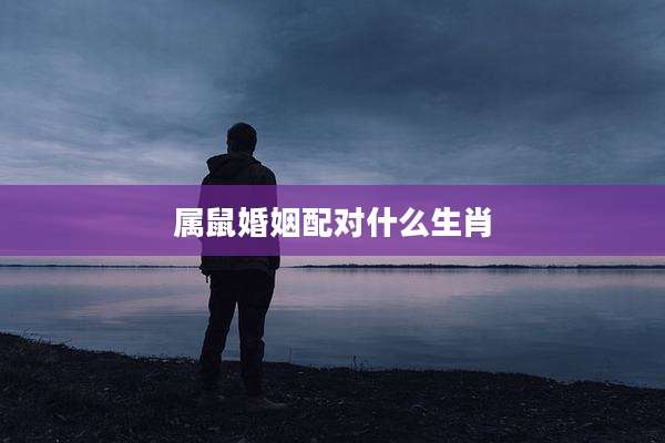 属鼠婚姻配对什么生肖