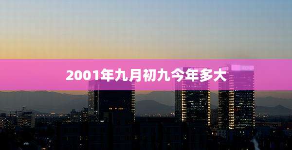 2001年九月初九今年多大