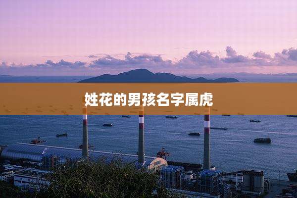 姓花的男孩名字属虎