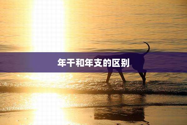 年干和年支的区别