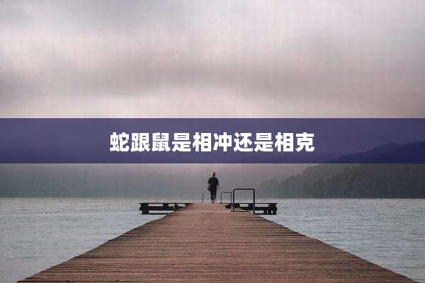 蛇跟鼠是相冲还是相克