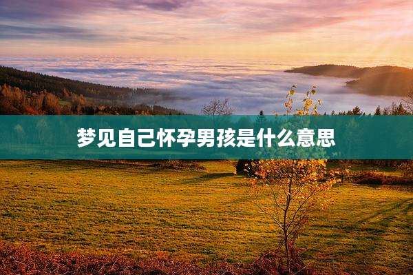 梦见自己怀孕男孩是什么意思