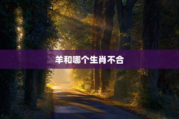 羊和哪个生肖不合