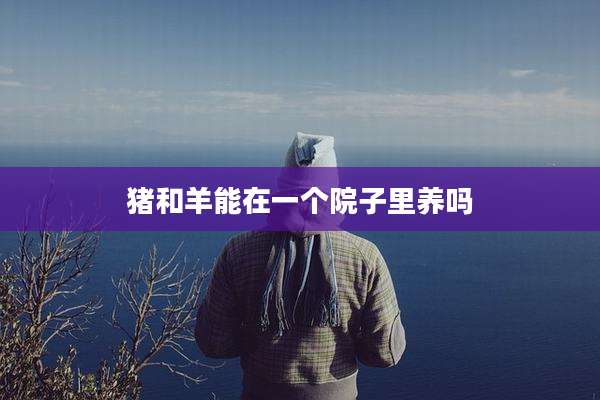 猪和羊能在一个院子里养吗