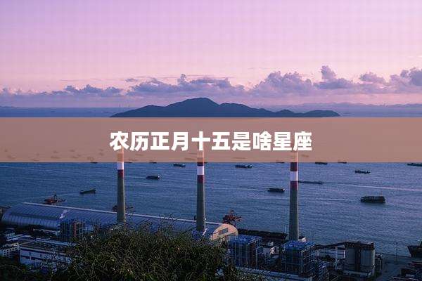 农历正月十五是啥星座