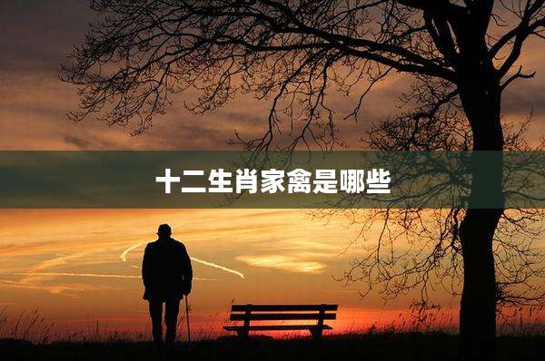 十二生肖家禽是哪些