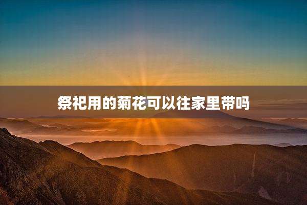 祭祀用的菊花可以往家里带吗