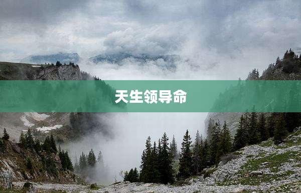 天生领导命