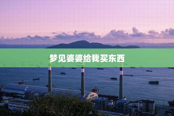 梦见婆婆给我买东西