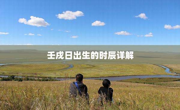 壬戌日出生的时辰详解