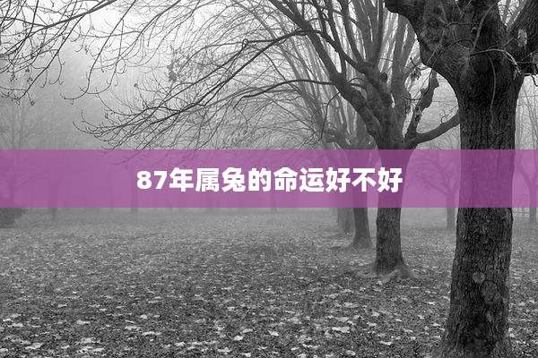 87年属兔的命运好不好