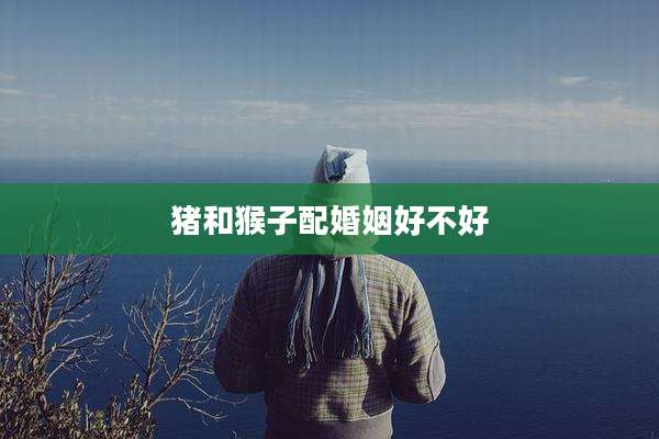 猪和猴子配婚姻好不好