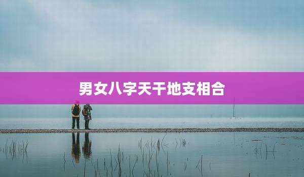 男女八字天干地支相合