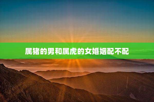 属猪的男和属虎的女婚姻配不配