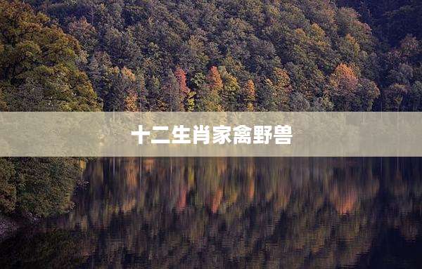 十二生肖家禽野兽