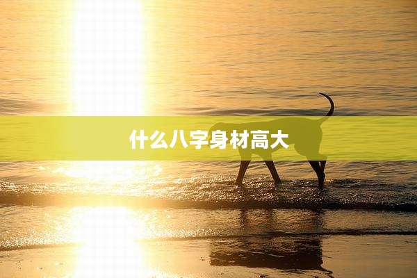 什么八字身材高大