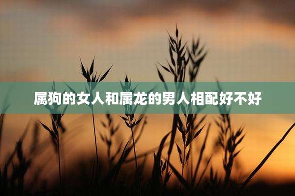 属狗的女人和属龙的男人相配好不好