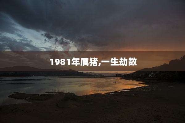 1981年属猪,一生劫数
