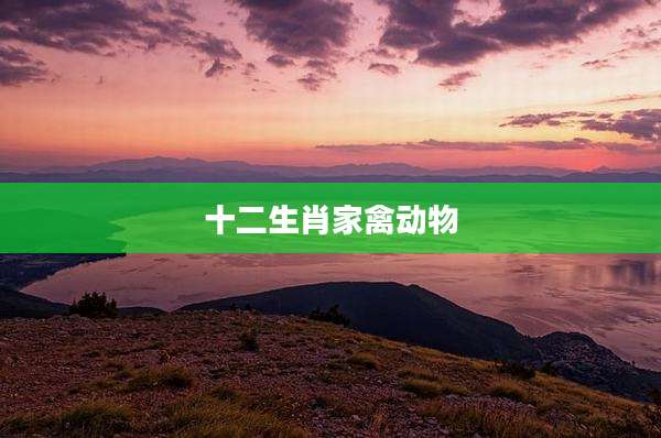 十二生肖家禽动物