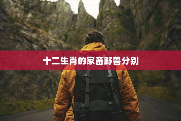 十二生肖的家畜野兽分别