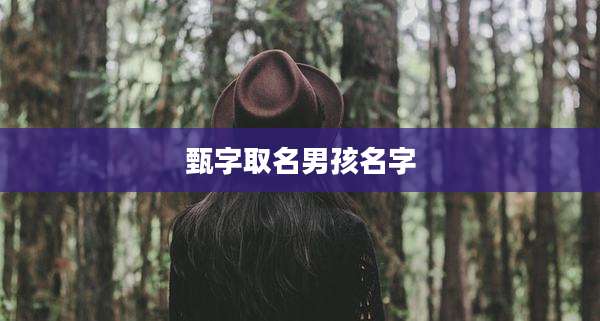 甄字取名男孩名字