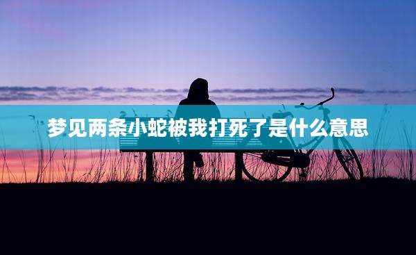 梦见两条小蛇被我打死了是什么意思